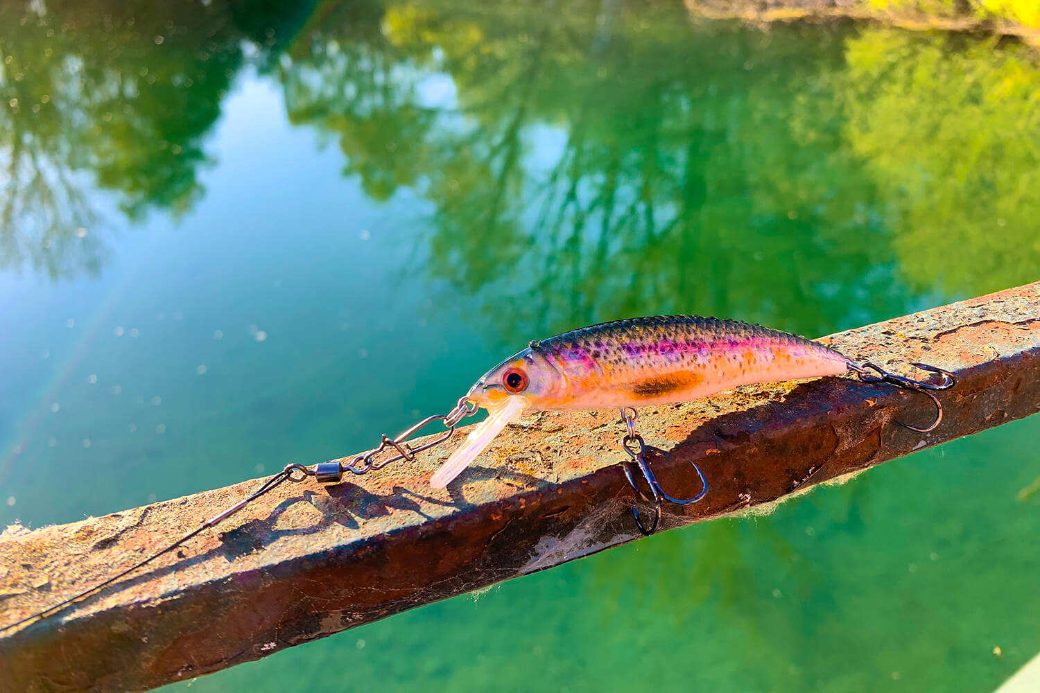 Minnow Wobbler fuer Hecht im Forellen Dekor am See beim angeln